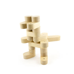 T Rex Magnetic Wood Block NEOBRICK